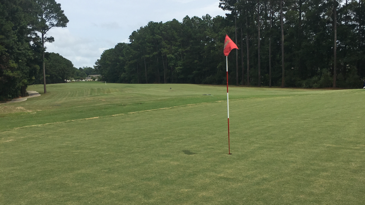 The International Club of Myrtle Beach reopened last Monday with new Sunday ultradwarf Bermudagrass greens.