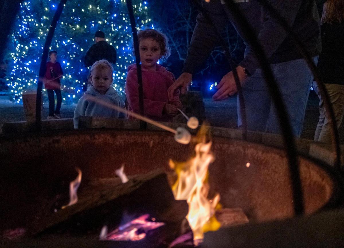 S’more pits are set up near the lighting of six cypress trees at Brookgreen Gardens. Nights of a Thousand candles at Brookgreen Gardens in Murrells Inlet is in its 24th year and is one of the south’s most celebrated holiday destinations. Three thousand candles are lit each night and there are over 180,000 lights hanging from the trees in Oak Allee alone. More than 80,000 tickets have been sold to this year’s events. Nov. 30, 2023.