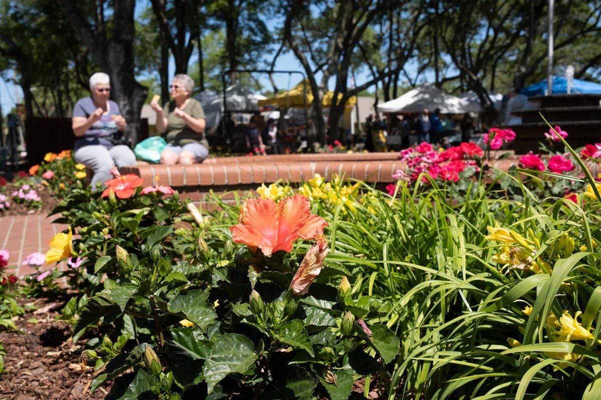 Woman eat pastries after shopping at the Surfside Beach Farmer’s Market. May 10, 2022.