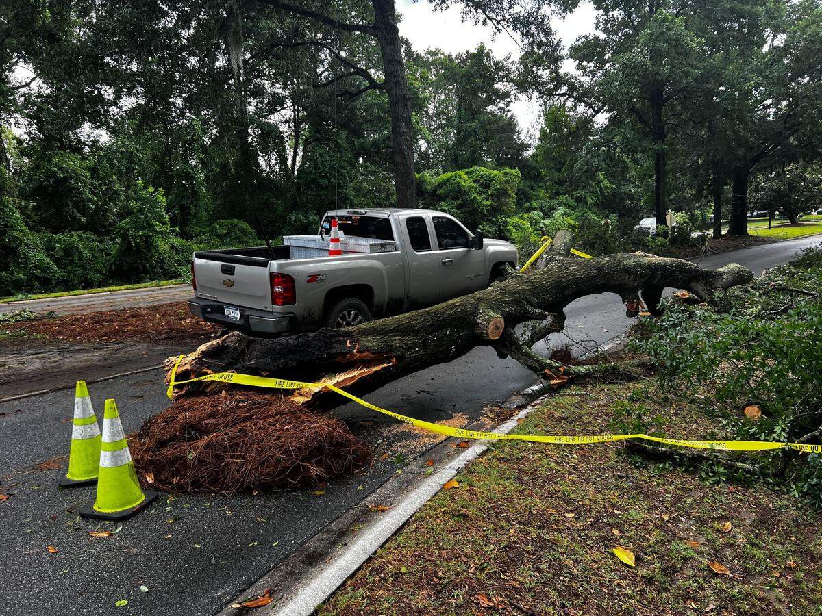 Storms with wind gusts up to 60 mph caused power outages and downed trees in the Murrells Inlet and Pawleys Island area early Monday morning. Several trees were also in the roadway, including this one at Willbrook Boulevard in Litchfield. June 10, 2024
