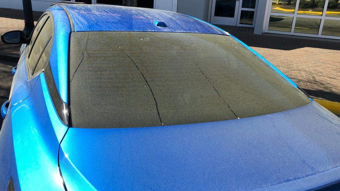 Don’t plant those flowers just yet. Temps to reach freezing in Myrtle Beach area