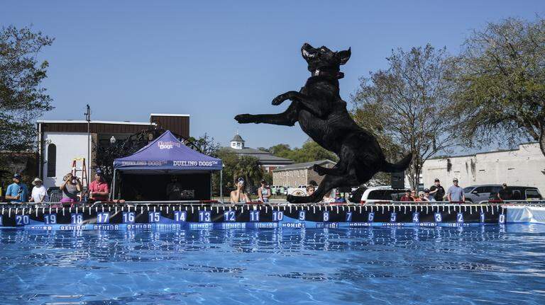 Photos: Dock dogs launch Sportsman’s Expo weekend in Conway, SC