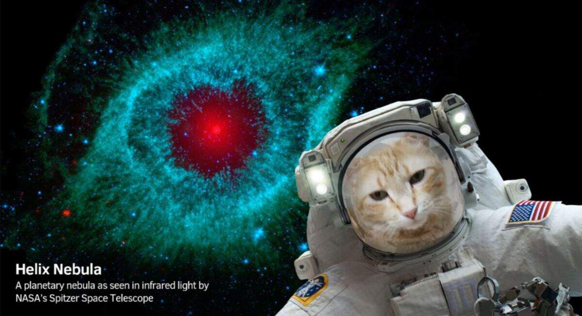 NASA released two new apps Wednesday, one that allows you to take selfies in space. -