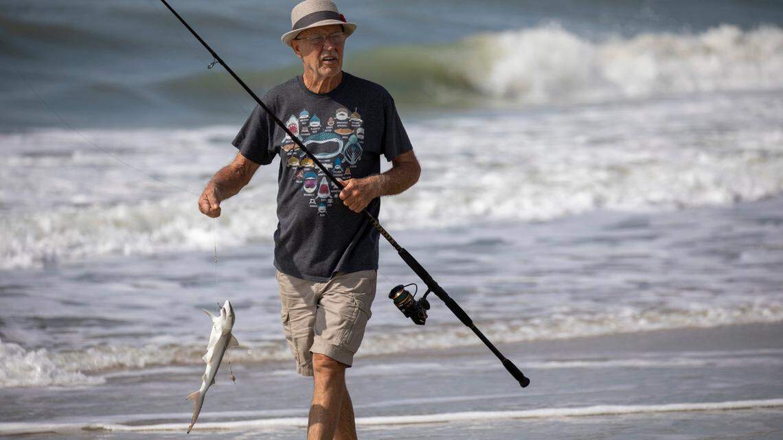 SC county moves to ban surf, shark fishing on public beaches. Local fishermen alarmed