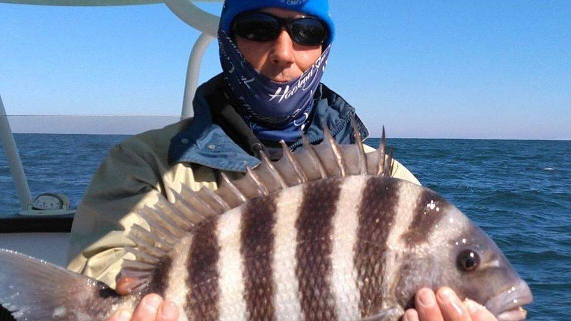 Grand Strand Fishing Report: Sheepshead, black drum are plentiful on near-shore reefs