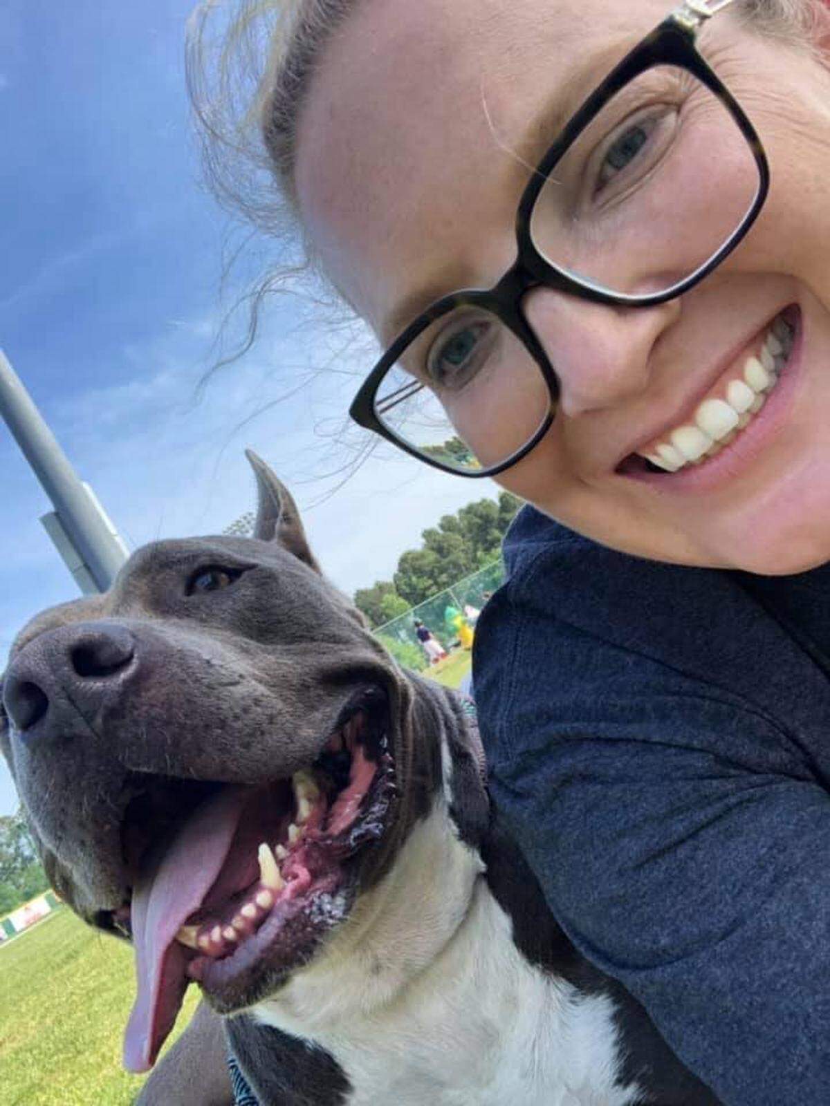 Harold, a pit bull rescued from the Grand Strand Humane Society who was known as a hero for leading to the rescue of four puppies found in a dumpster, and his owner, Marlena Ryba, were featured on Pittie Nation of The Dodo.