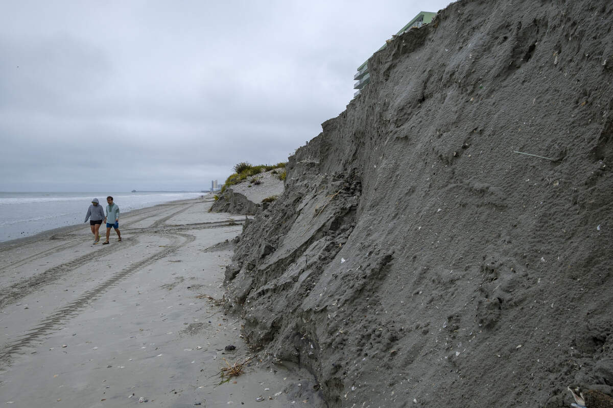 Evidence of beach erosion can be clearly seen in mid-October after king tides and a Fall storm caused dunes to collapse in the Cherry Grove section of North Myrtle Beach.