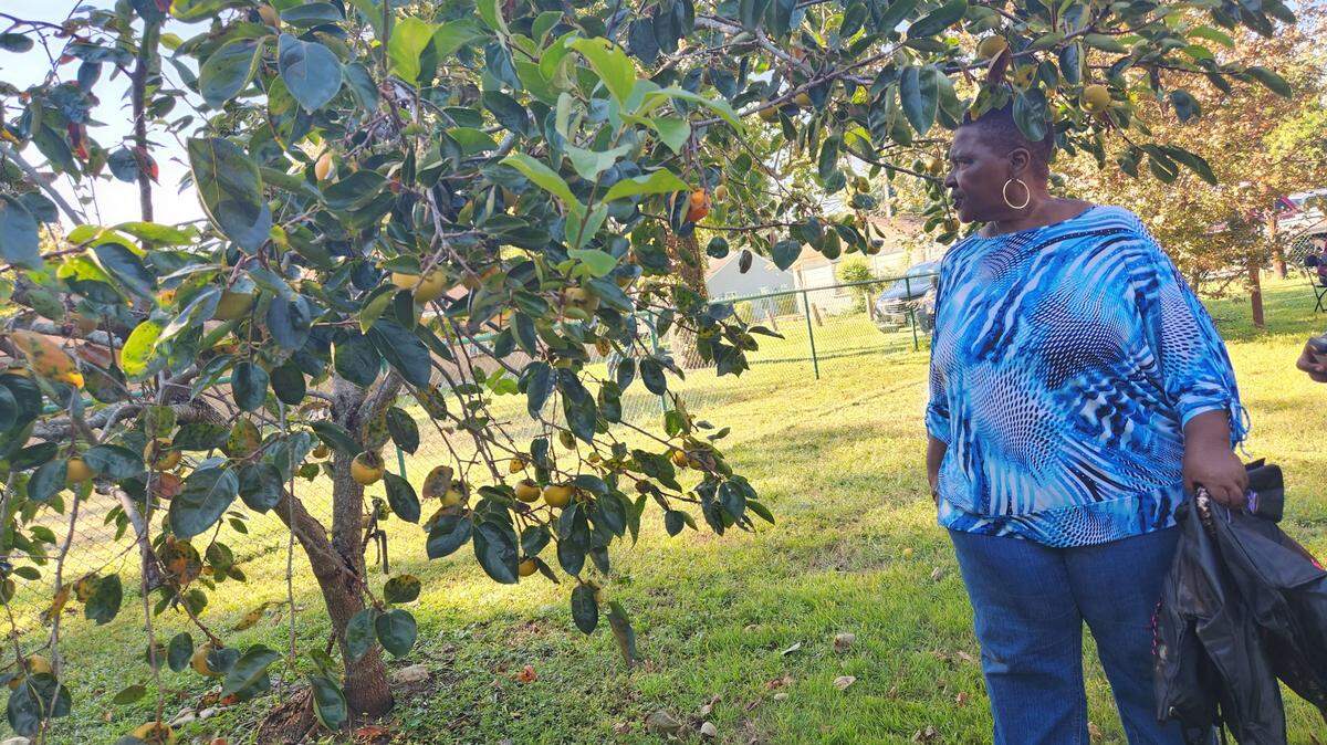 Linda Holloman glances at a crabapple tree at Beulah Bathsheba Bowens Park in Myrtle Beach on Oct. 7, 2022. The park is getting a new set of interpretive signs.