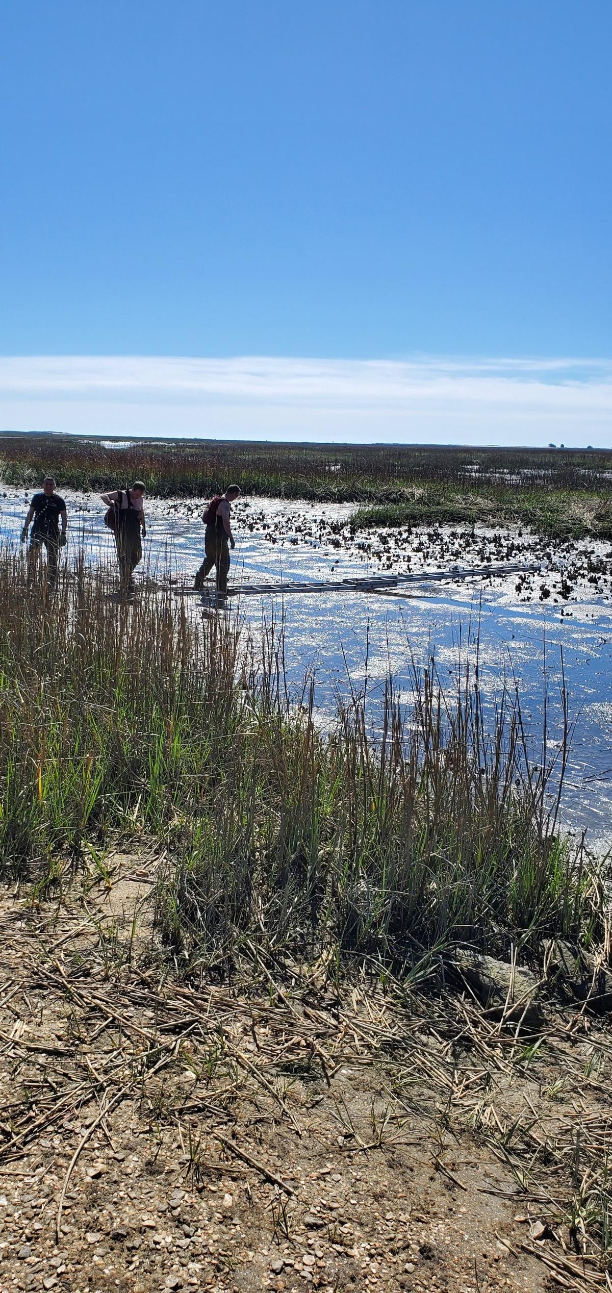 Murrells Inlet-Garden City Fire Department walked on ladders in the marsh to save a boater stuck in the pluff mud.