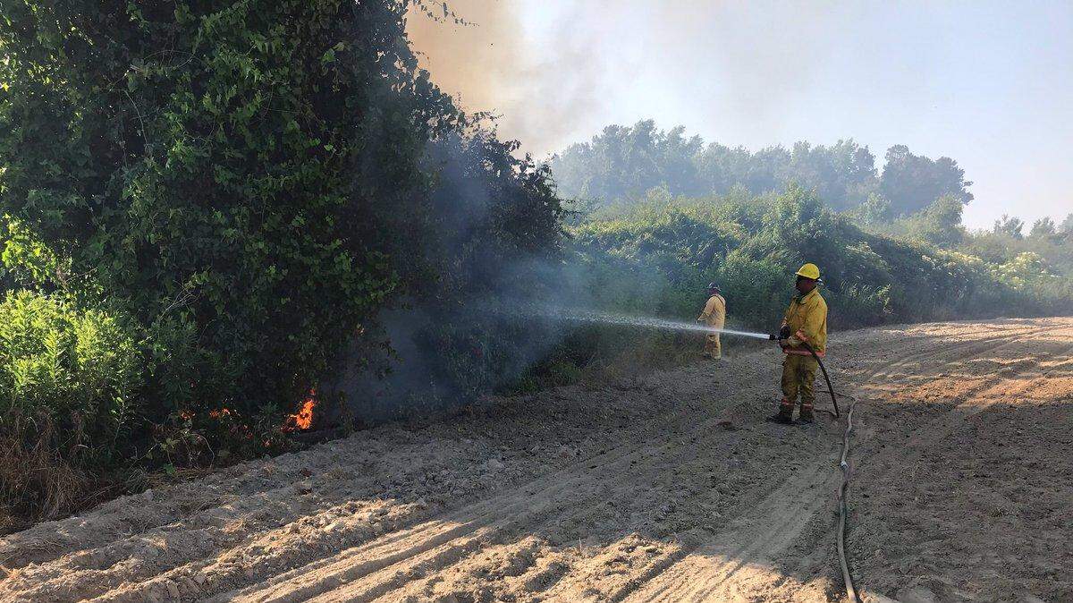 Horry County fire crews battle a brush fire at S.C. 9 and Long Branch Swamp Road in the Green Sea area of Horry County on Wednesday.