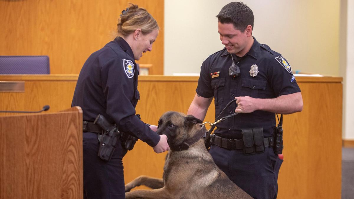 Myrtle Beach Police Chief Amy Prock greets Bek, a newly sworn in K-9 police dog, and his handler, PFC Chris Turner, after the swearing-in ceremony.
