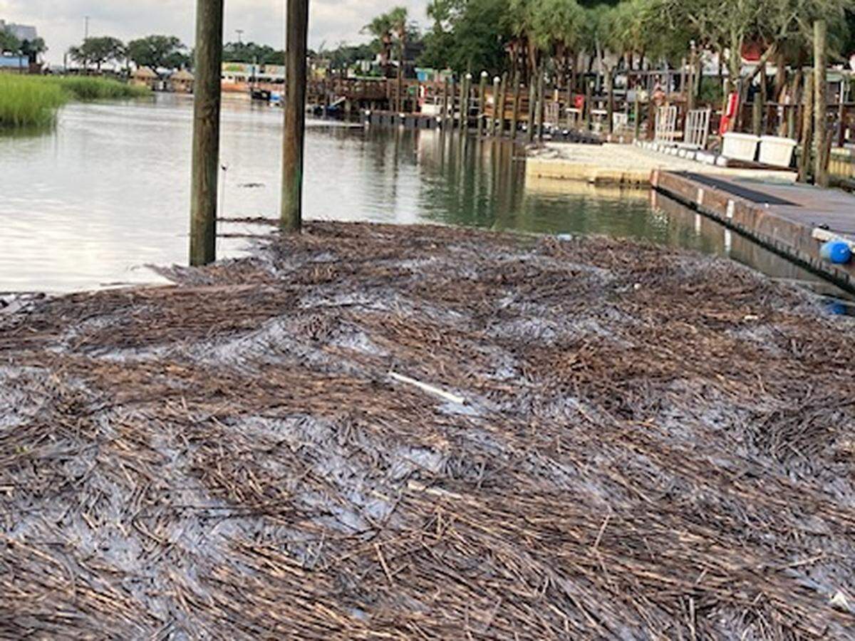 Marsh reeds and storm debris covered much of the Marshwalk at Murrells Inlet early Thursday August 31 following Tropical Storm Idalia.
