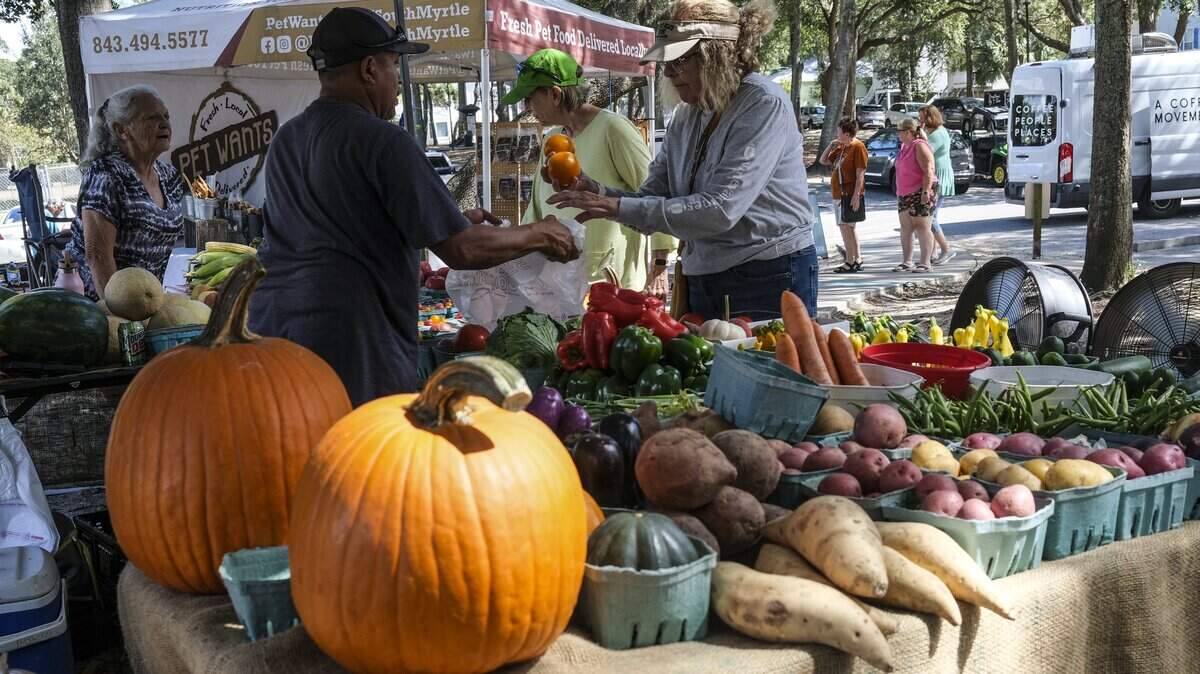 Customers shop at the Miguel & Miller Farms Produce booth at the Surfside Beach Farmers market on Tuesday. July 18, 2024.
