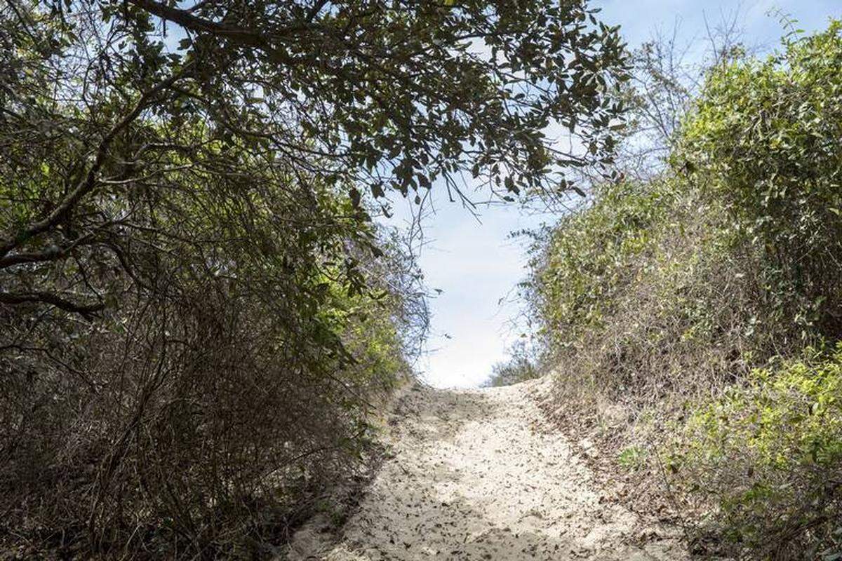 Ingram Dunes, a stretch of historic coastline dunes in North Myrtle Beach, will be the topic of conversation this week as two different agencies discuss permits for a proposed housing development on the 9.3 acre site. Developers hope to place 31 single family homes on the property. The property off 10th Avenue South and Hillside Drive has been used by locals as a walking path through oak trees and over sand dunes. A group called "Preserve Ingram Dunes," hopes to find alternatives to the development. April 2, 2018.