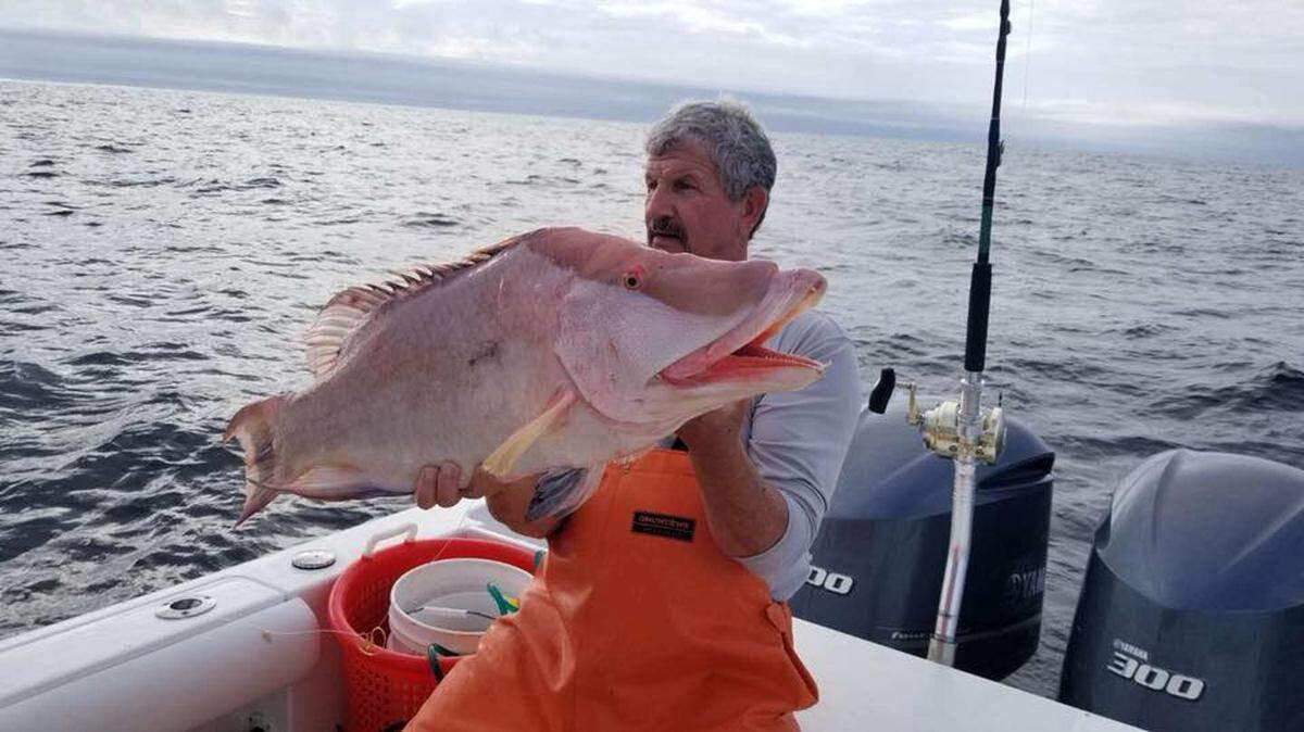 Capt. Danny Carey of Careyon Charters shows off a huge hogfish caught on Wednesday during an offshore trip out of Murrells Inlet.