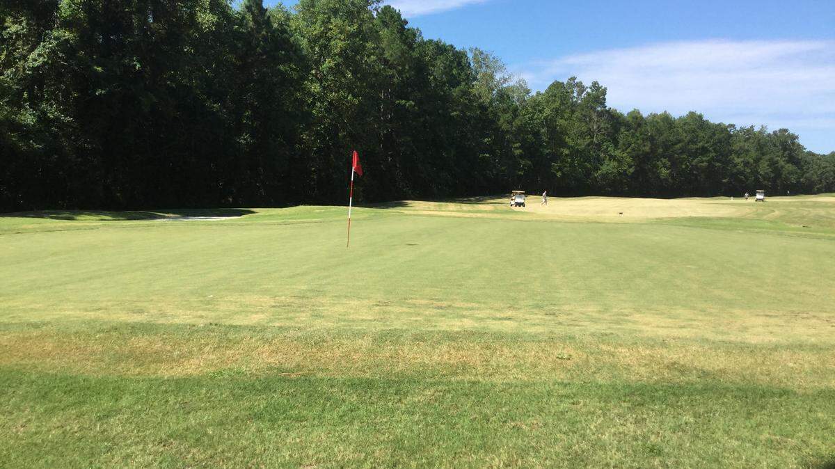 The 12th green at International Club of Myrtle Beach in Murrells Inlet on Aug. 10, more than three weeks after it reopened with new Sunday ultradwarf Bermudagrass.