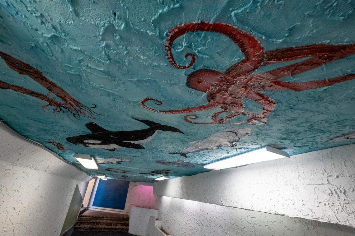 A tunnel runs under Ocean Boulevard in Myrtle Beach at the Sea Mist Oceanfront Resort at 13th Avenue South in Myrtle Beach. Aug. 30, 2022.