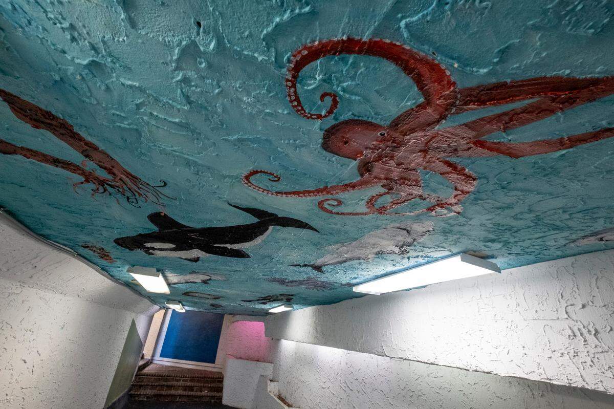 A tunnel runs under Ocean Boulevard in Myrtle Beach at the Sea Mist Oceanfront Resort at 13th Avenue South in Myrtle Beach. Aug. 30, 2022.