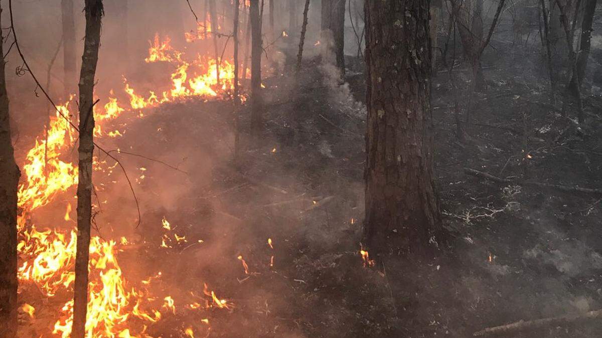 A brush fire burns Wednesday in rural Horry County.