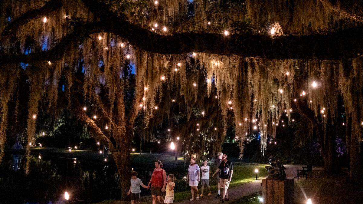 Visitors enjoy last year’s Summer Light: Art by Night exhibition at Brookgreen Gardens. JASON LEE jlee@thesunnews.com