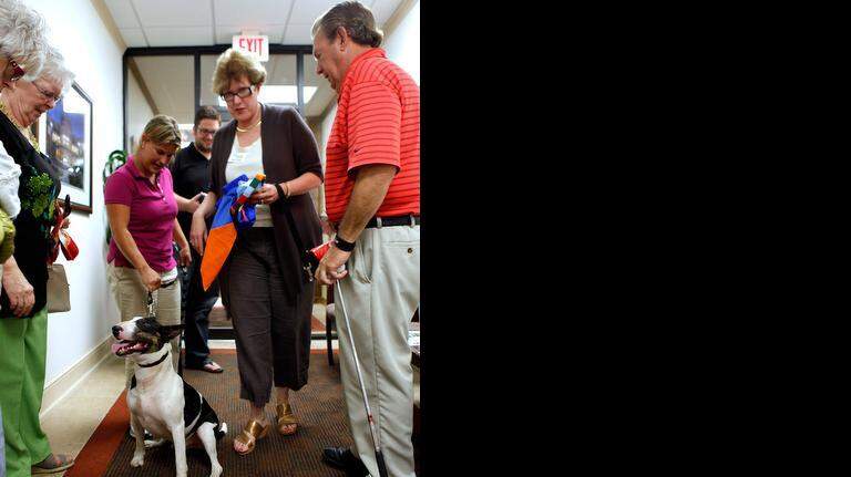 Gizmo: Spokesdog for HGTC