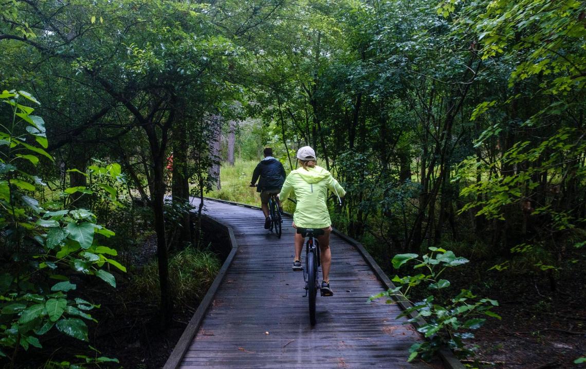 Cyclist ride the trails along the swamp in the Black River Cypress Preserve. The Preserve is one of twelve public and private parks along the Black River Water Trail & Park network which stretches 70 miles from Kingstree, S.C. to near Georgetown, S.C. This park is expected to serve as a model for the development of the first new state park in South Carolina in over twenty years. June 28, 2022.