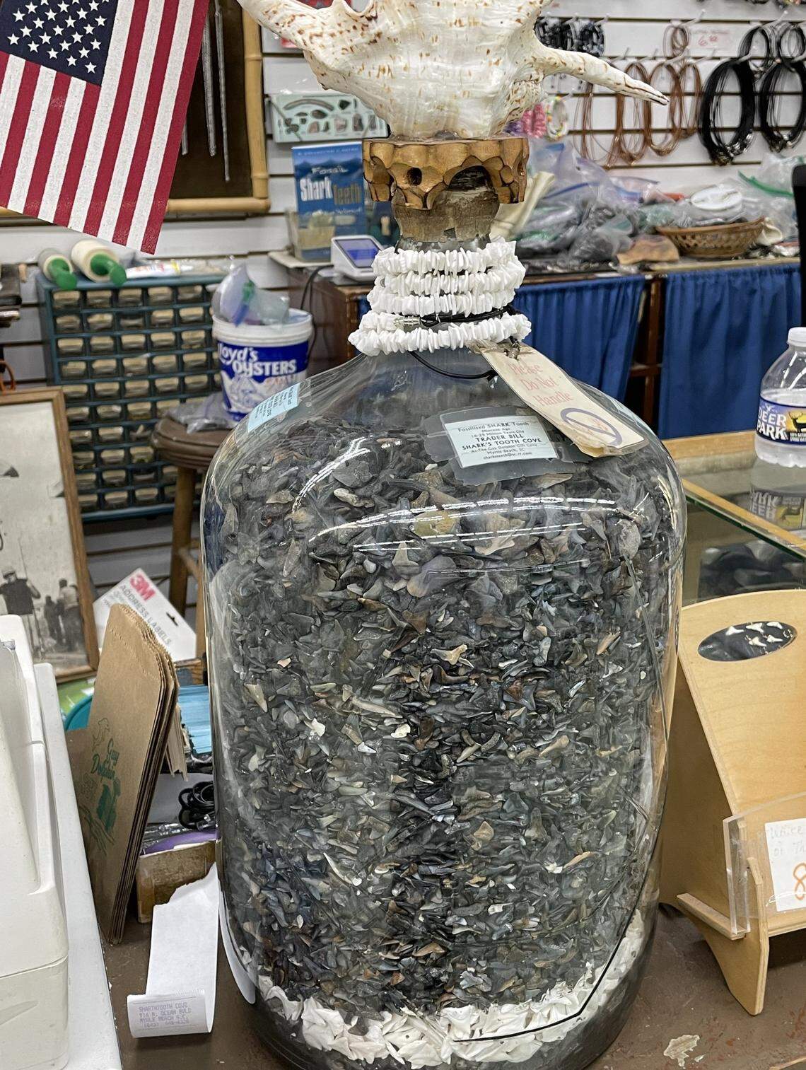 A glass jar is filled with sharks’ teeth from locals and visitors. The jar sits on the counter of Trader Bill Shark Teeth inside the Gay Dolphin in downtown Myrtle Beach, SC, and is operated by Tom Pierce. Pierce has been making jewelry and selling shark teeth for 56 years.