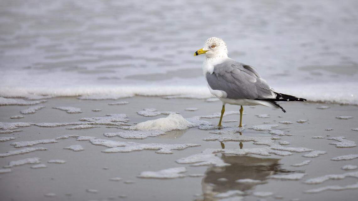 Life on the road already providing revelations, including one right in the backyard