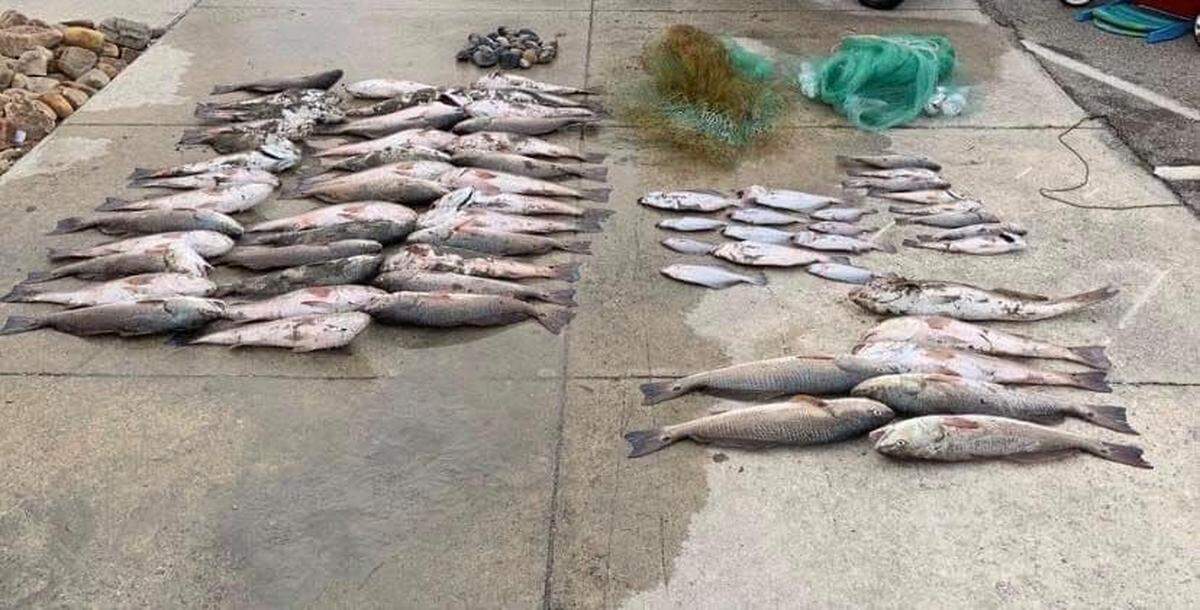 The South Carolina Department of Natural Resources reported Saturday that the men were in possession of 55 Redfish (seven oversized and eight undersized), 12 undersized flounder, clams out of season, and whole stone crabs, leading to forty citations and numerous warnings from authorities. They were caught by game wardens from Horry and Georgetown counties, according to DNR.
