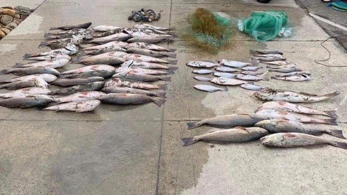 ‘We could stop more’: DNR asks for help after illegal fishing bust in Murrells Inlet