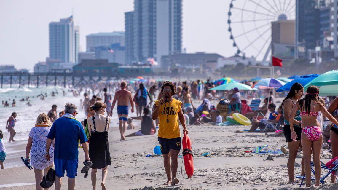 Jellyfish and sea lice can be painful nuisances in Myrtle Beach but are avoidable. Here’s how