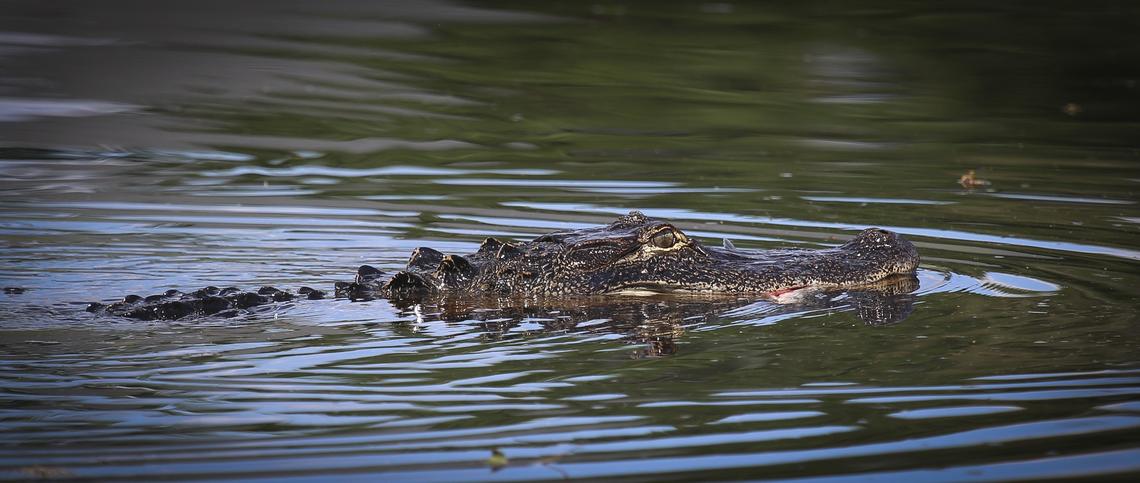 Residents of Aberdeen Country Club leave the area after floodwaters hit the area hard overnight.