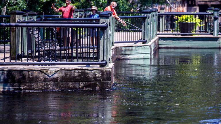 Photos: Rivers continue to rise as officials prepare for flooding in Conway and Bucksport, SC