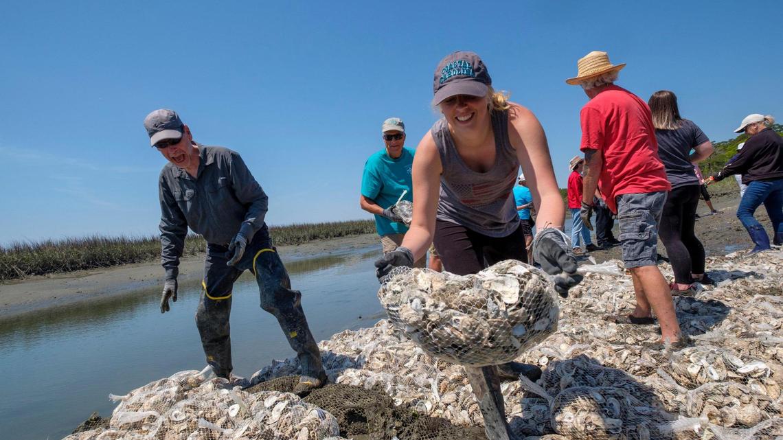North Myrtle Beach is planning a living shoreline in Cherry Grove. Here’s how you can help