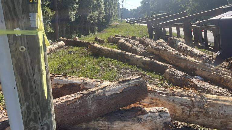 UPDATE: Overturned log truck blocked lanes of SC 90 in Conway area for hours