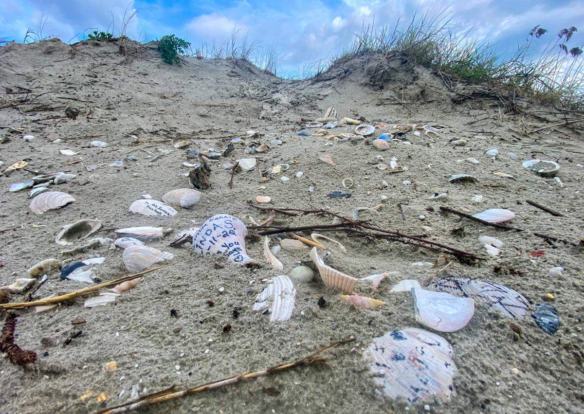 A concrete statue, locally known as the ‘Angel of Hope’, that has stood in the dunes at the point of the Cherry Grove section of North Myrtle Beach has gone missing. All that is left at the site are shells left by visitors painted with the remembrances of loved ones. Aug. 22, 2022.