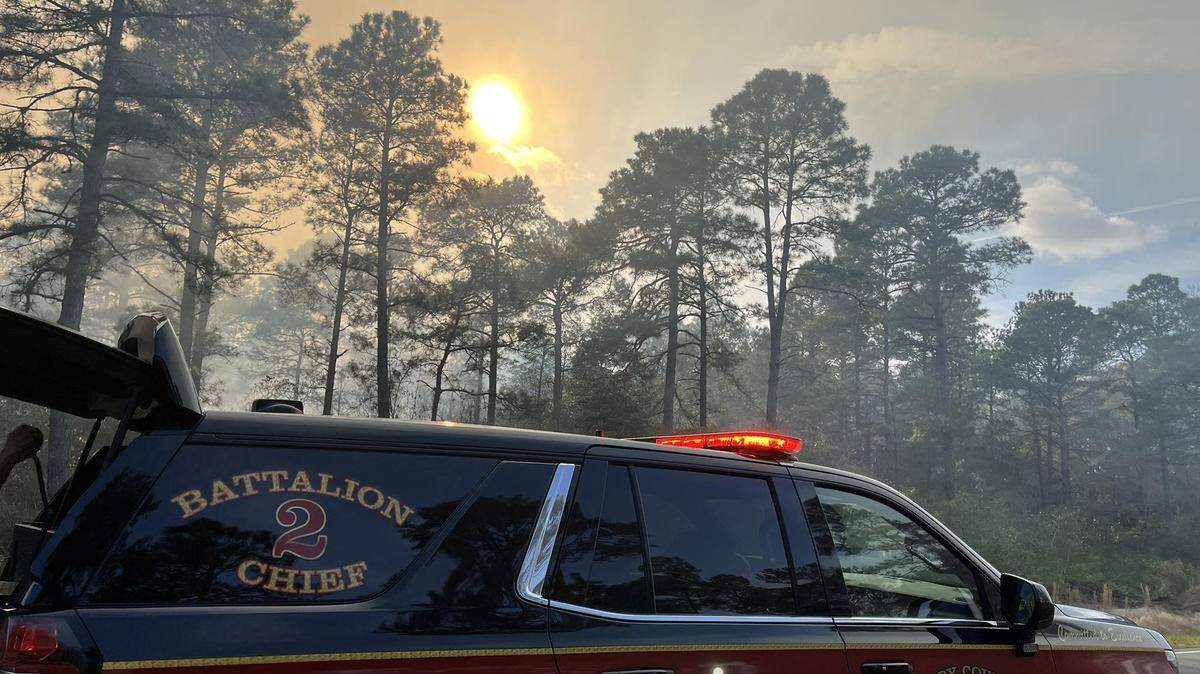 Horry County Fire Rescue has responded Friday, March 28, 2025, to a large wildfire off of U.S. 501 in the West Perry Road area.