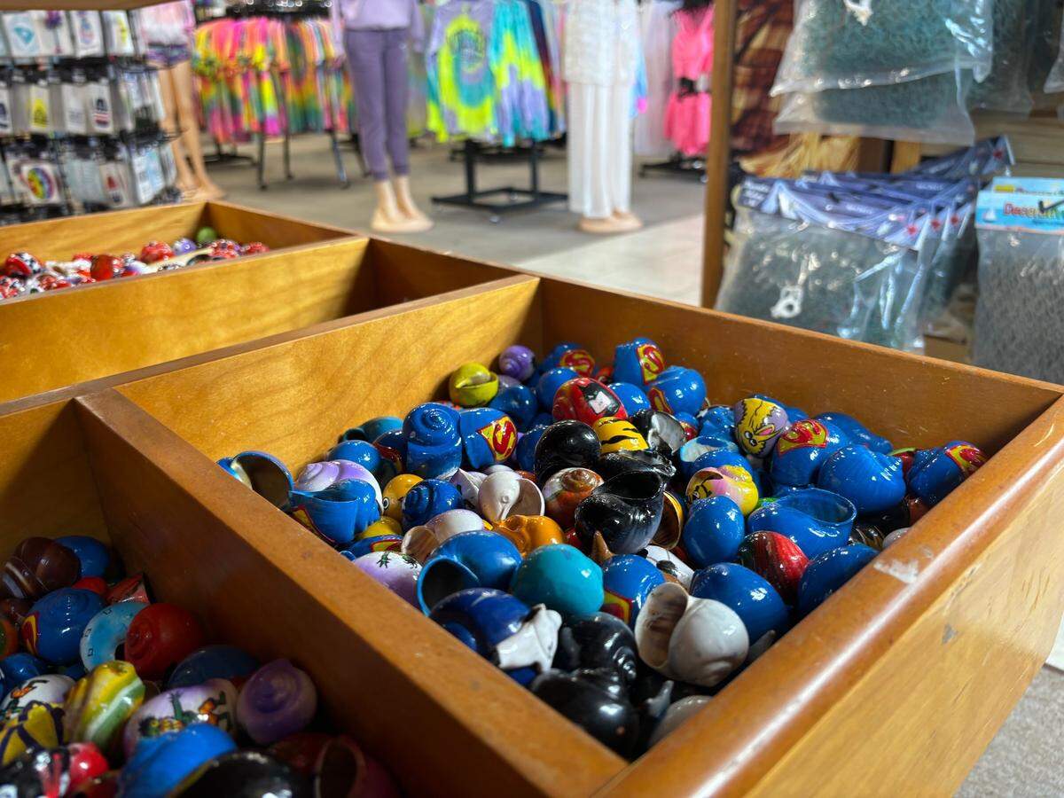 Hermit crab shells available for purchase at Bargain Beachwear in North Myrtle Beach. Hermit crab expert Mary Akers said crabs prefer natural shells. Customers typically prefer to buy the painted shells, said crab retailer Paul Manger.