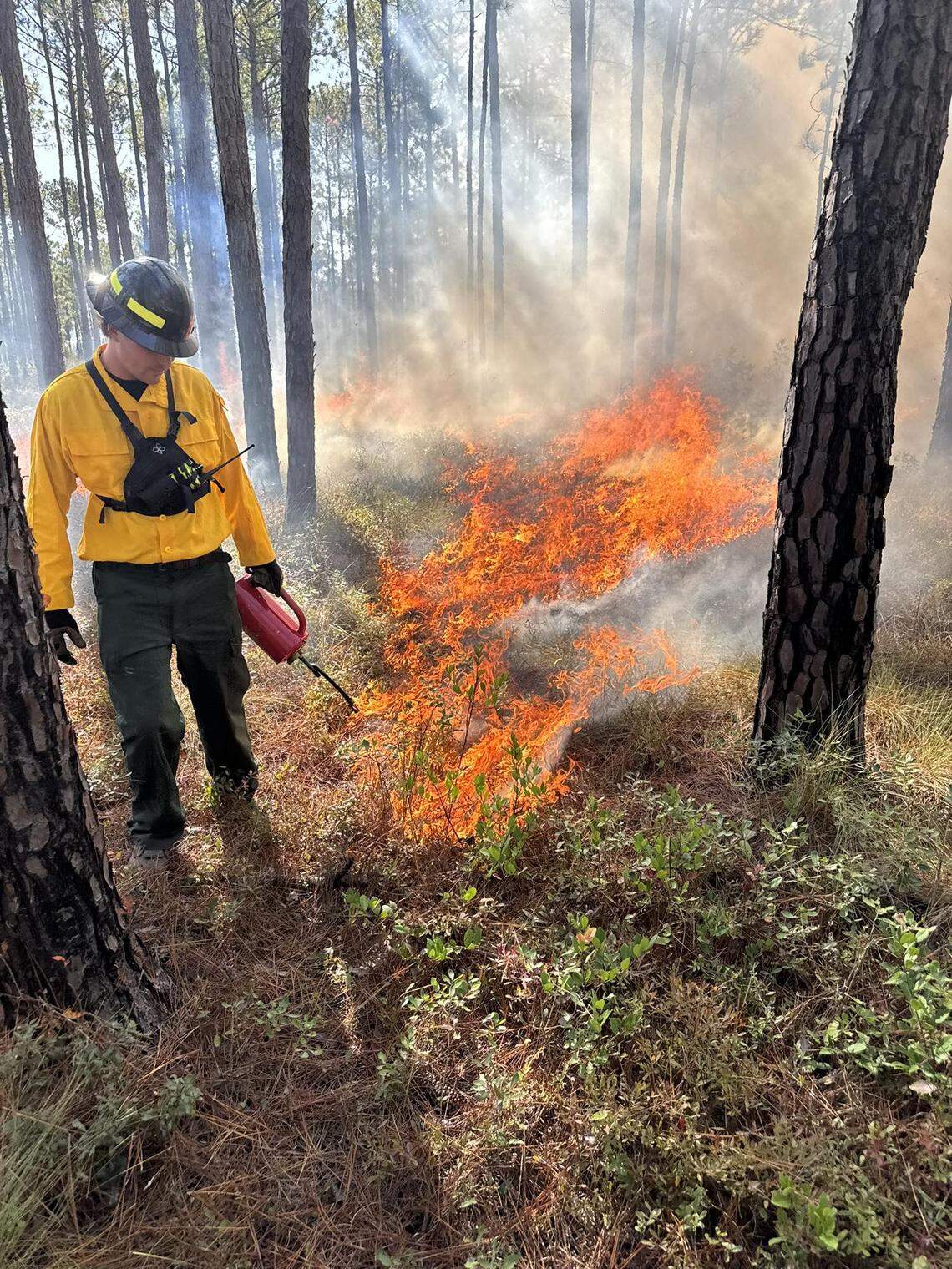 A portion of International Drive in the Myrtle Beach area will close temporarily between Nov. 12-15, 2025, as Horry County and South Carolina forestry crews conduct controlled burns in the area.