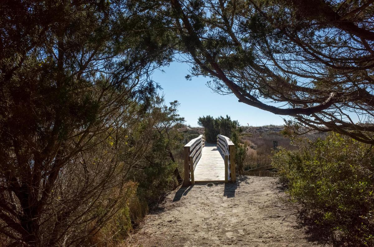 A bridge crosses the tidal marsh leading to the ocean in Briarcliffe Acres. The Town of Briarcliffe Acres is a wooded oceanfront enclave between Myrtle Beach and North Myrtle Beach that is home to 527 residents on 260 lots. Incorporated in 1976, the town has only two paid staff members but there is a waiting list for any property that goes up for sale. Feb.10, 2025