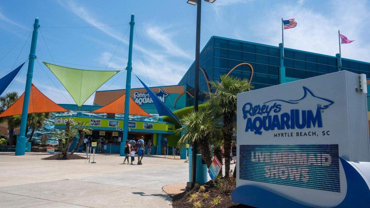 Ripley’s Aquarium announced Tuesday it would open a new habitat for two-toed sloths in late spring. FILE