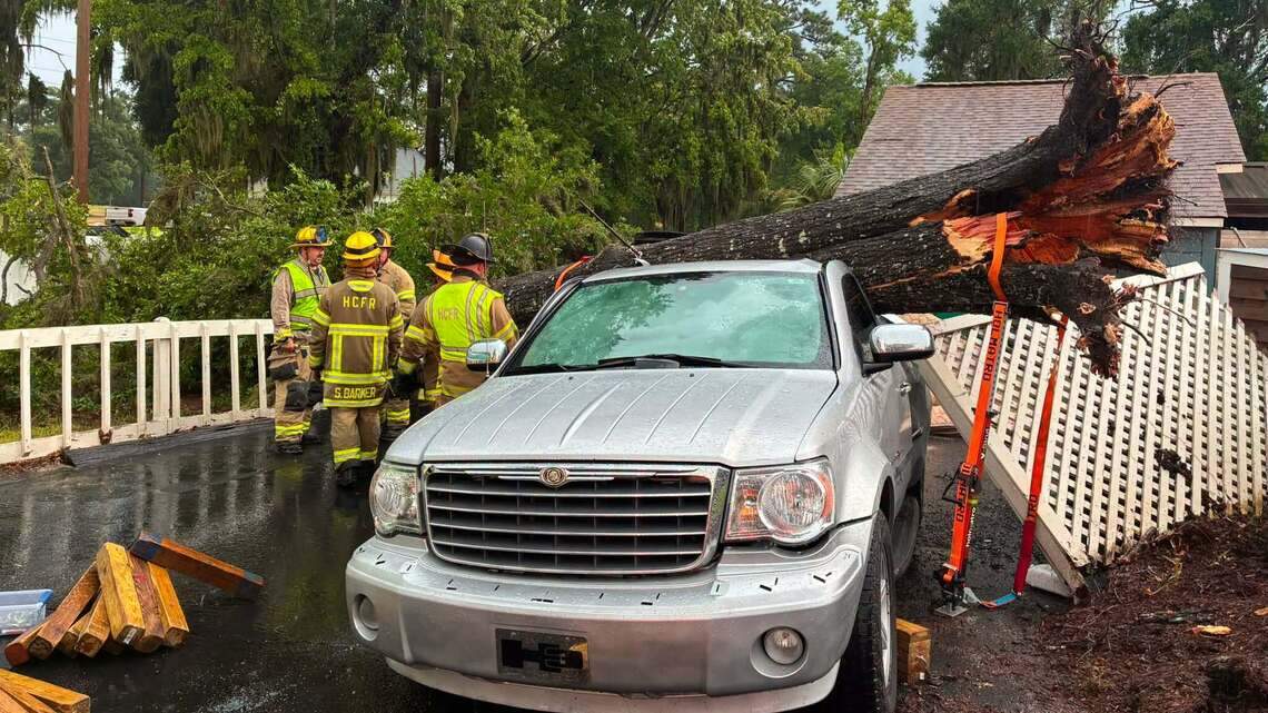 Fallen tree traps driver in vehicle at Myrtle Beach area business. What we know