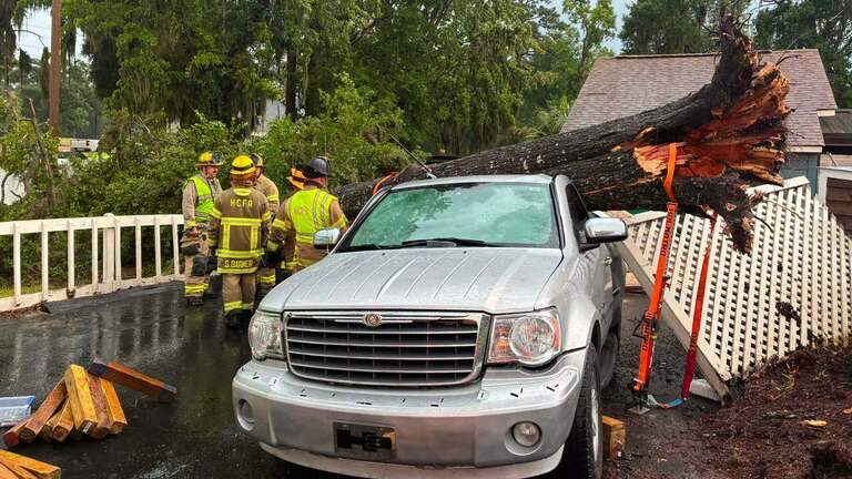 Fallen tree traps driver in vehicle at Myrtle Beach area business. What we know