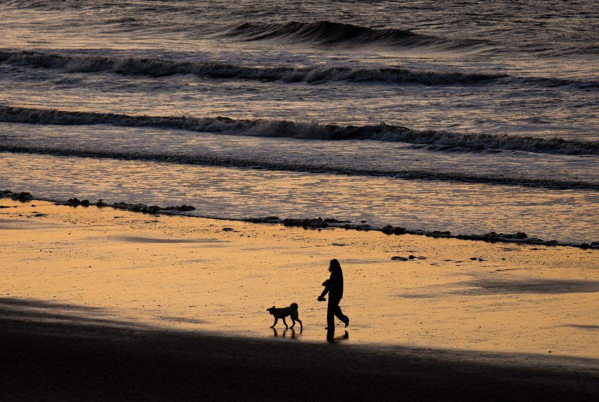 A person and dog walk along the beach in North Myrtle Beach Friday morning after severe weather was forecast to hit the area Thursday night but never materialized.
