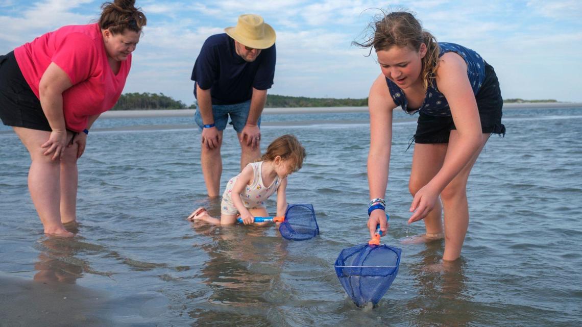 Where to find tide pools in the Myrtle Beach, SC area Myrtle Beach