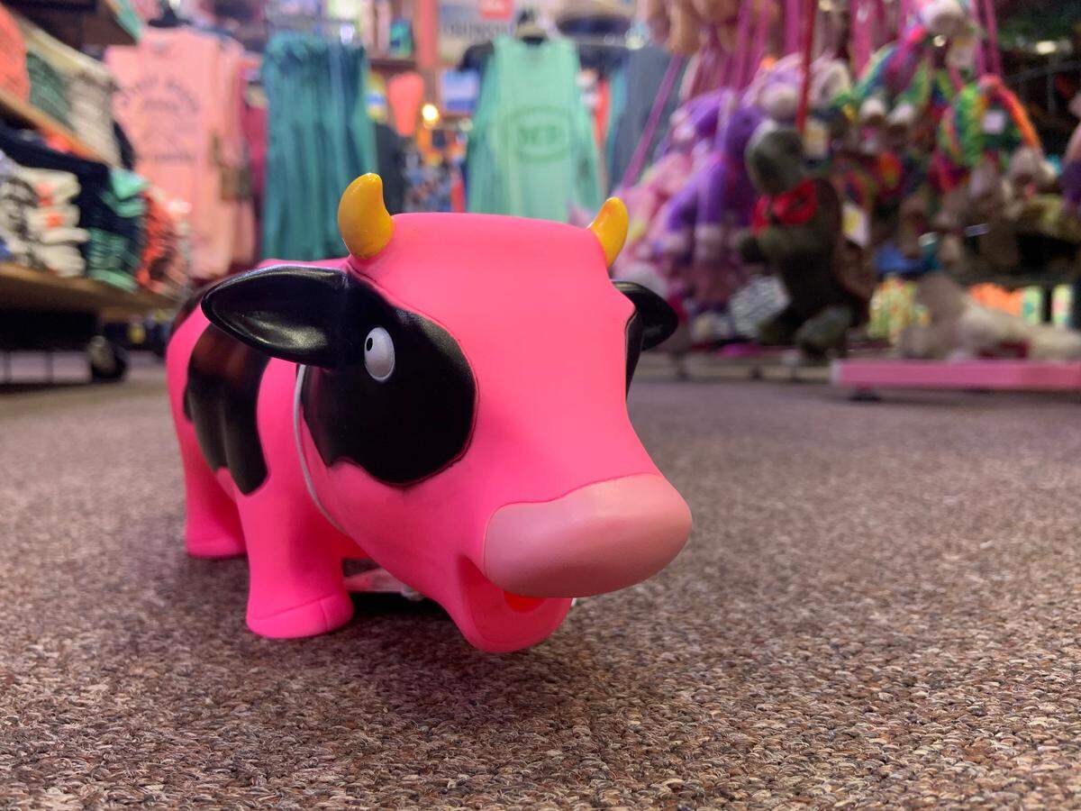 A souvenir from the Mega Tsunami gift shop located at 1600 N. Kings Hwy, Myrtle Beach, SC.