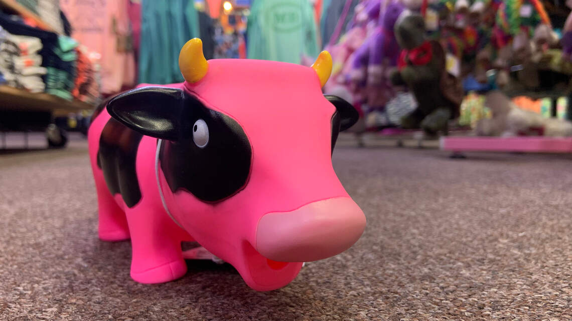 Myrtle Beach merch: The best gems, oddities you can find in gift shops for under $60