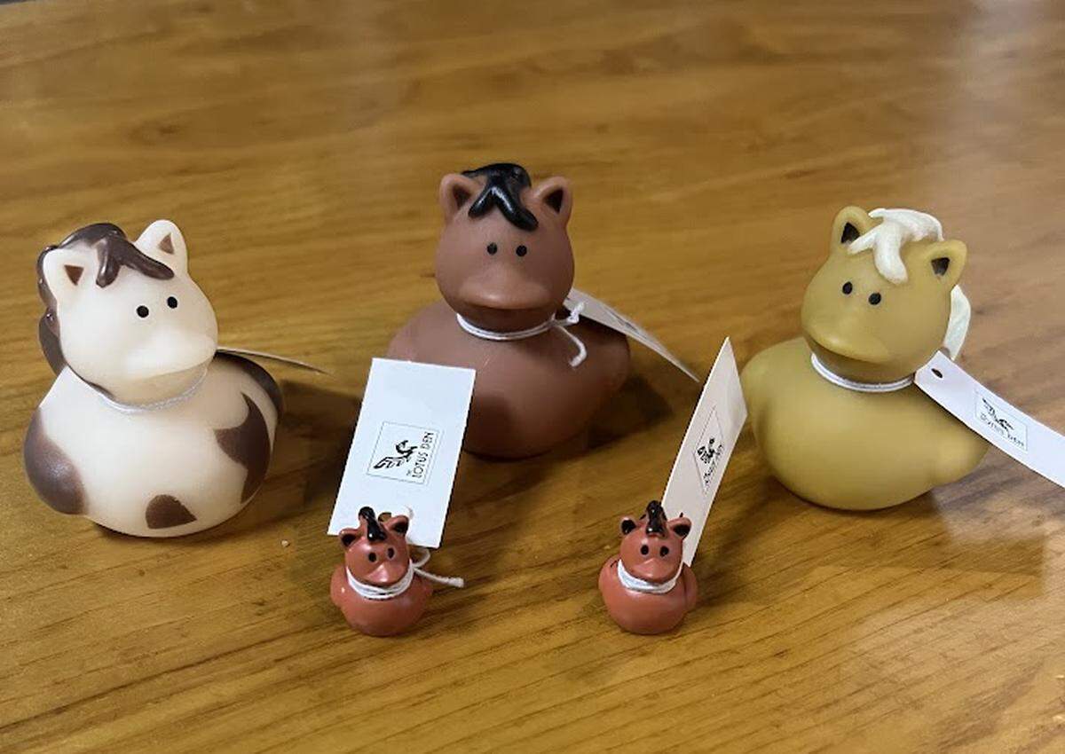 Rubber pegasus toys hidden around the Grand Strand can be redeemed for a $5 discount at The Lotus Den.