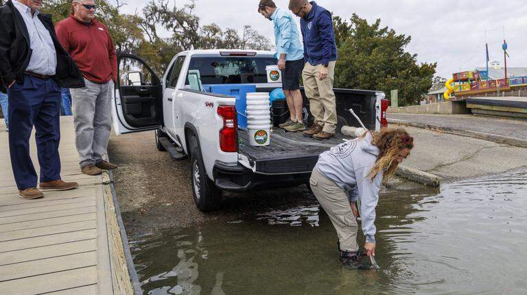 Photos: S.C. flounder restocking program launches in Murrells Inlet