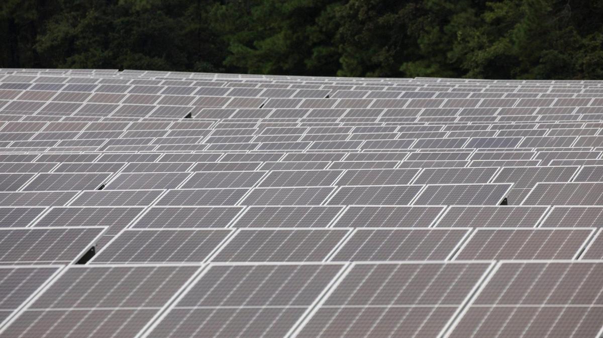 A solar farm in Myrtle Beach. September 9, 2020.